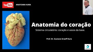 Sistema circulatório coração e vasos da base [upl. by Ashok]