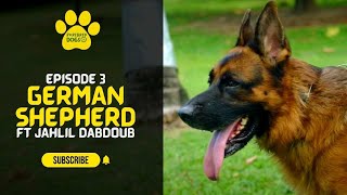 Purebred Dogs Ja  German Shepherd w Jahlil Dabdoub  Episode 3 [upl. by Gaskin]