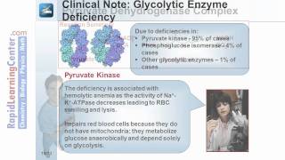 Rapid Learning Biochemistry  What is Metabolism [upl. by Alilad]