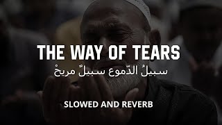 quotThe Way of Tearsquot Relaxing Sad Arabic Nasheed  Voice Cover by Jawad Ahmad [upl. by Aicilak]