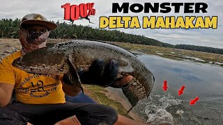 CASTING IKAN GABUS MONSTER DELTA MAHAKAM 💯 AIR SURUT  SHIMANO SLX DC XT [upl. by Itsud]