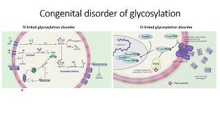 Congenital disorder of Glycosylation CDG  Diseases Code 570 [upl. by Magena]