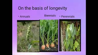 Annualsbiennials and perennialsDiversity of plant forms [upl. by Mady227]