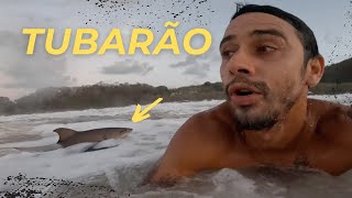 ENTREI NO MAR NA HORA DOS TUBARÕES EM FERNANDO DE NORONHA [upl. by Fredi]