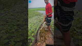 Boat Fishing Video 2024 part 133shortsshortvideo viral viralvideo fishing fishboatfishing [upl. by Eb]