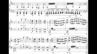 Franz Liszt  Sunt Lacrymae Rerum [upl. by Sevy546]