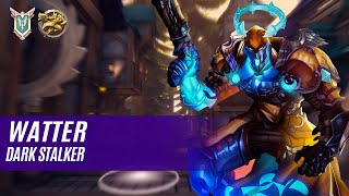 wätter ANDROXUS PALADINS COMPETITIVE MASTER DARK STALKER [upl. by Ellehsram]