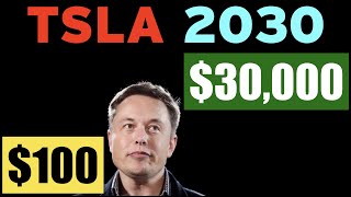 TSLA 2030 100 or 30000 [upl. by Ominorej201]