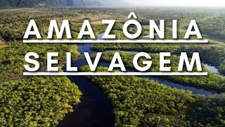 Amazônia Selvagem  Berço da vida  Documentário dublado HD [upl. by Wollis967]