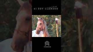 Llanero so Soy llanero con letra [upl. by Son14]