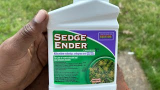 Kill Poa Annua With Sedge Ender [upl. by Edak]