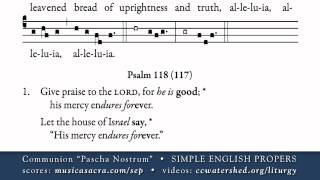 Communion quotPascha Nostrumquot • Easter • SIMPLE ENGLISH PROPERS [upl. by Thordis]