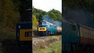 Class 52 D1015 Western Champion opens up past Tenbury Wall diesellocomotives train shorts [upl. by Thorvald280]