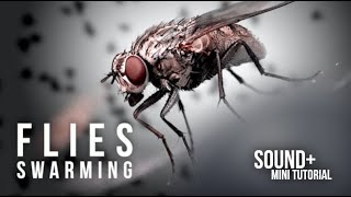 Flies Swarming  Buzzing  Sound Effect [upl. by Akinhoj]