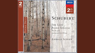 Schubert Piano Sonata No 19 in C minor D958 2 Adagio [upl. by Arreic]