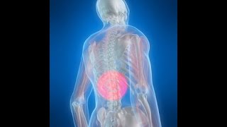 What is Thoracic Back Pain [upl. by Tamah]