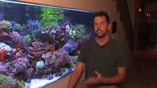 Vivid 400 Gallon Mixed Reef Aquarium 2012 [upl. by Jd]