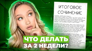 Что Делать За 2 Недели До Итогового Сочинения 2025 ЕГЭ Русский Язык [upl. by Gilliam]