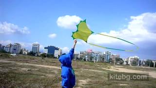 HQSky Photon  Unboxing amp Flying Single line kite [upl. by Elleimac]