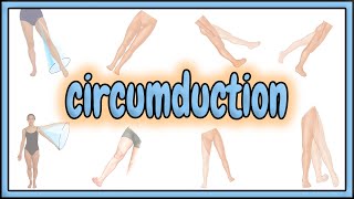 28 Circumduction Term  2D Animation [upl. by Macrae]