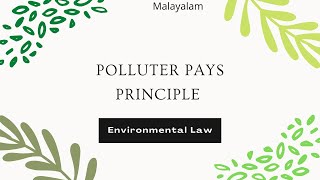 Polluter Pays Principle  under Environment Law [upl. by Zak841]