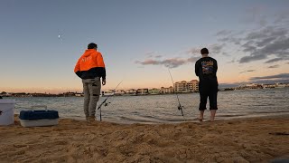 WEST LAKES FISHING Bream feeding frenzy [upl. by Paulina]