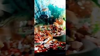 🥵 Adding flowerhorn in community fish tank 🥶shortsfeed fish aquariumfish shortsviral trending [upl. by Barren]