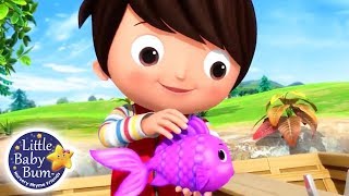 12345 Once I Caught A Fish Alive  Nursery Rhymes for Babies  Songs For Kids  Little Baby Bum [upl. by Caryn747]