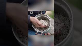 What is perlite amp why it’s so useful for gardening [upl. by Baiss]