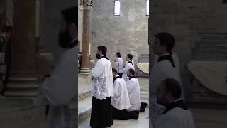 Tridentine Mass ✔️What does the Tridentine Rite look like sacerdote shortvideo shortsfunny misa [upl. by Arst]