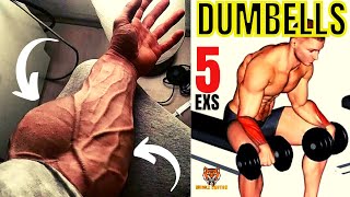 5 BEST Exercises for Bigger Forearms Workout [upl. by Malin17]