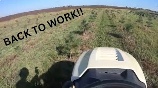 Mowing w the Cub Cadet LTX 1046 amp Box Blade Work w the JD 1026R [upl. by Neelik]