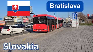 Trams Trolleybuses and Buses in Bratislava Slovakia [upl. by Aloysius]