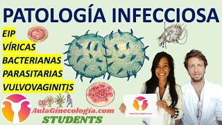 PATOLOGÍA INFECCIOSA AulaGinecología  STUDENTS BACTERIANAS VÍRICAS PARASITARIAS EIP [upl. by Assele181]