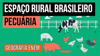 ESPAÇO RURAL BRASILEIRO pecuária  Geografia para o Enem  Eduardo [upl. by Nihhi]