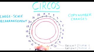 Our genome in a circle [upl. by Daria]