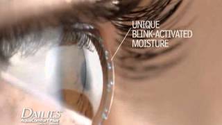 DAILIES® AquaComfort Plus® Contact Lenses [upl. by Mayworm]