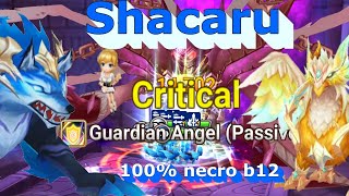 Shacaru 100 Nb12 Team Midgame progression summoners war [upl. by Callum460]