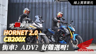 『街車  ADV  好難選啊 』 HONDA HORNET 20 amp CB200X 【線上賞車單元】【大鳥摩哆】 [upl. by Esme36]