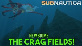 NEW BIOME  THE CRAG FIELDS  Subnautica News [upl. by Narod217]