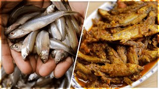 Mourala Fish Curry Winter Special Small Fish Recipe Village food Dry fish  Bengali fish [upl. by Page604]