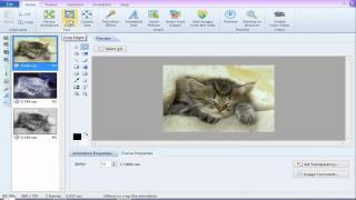 Easy GIF Animator Pro 6  Part 2 [upl. by Ezarra]