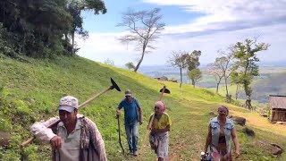 Passeio do caipira na cidade musica 🎤 Ivan Souza e Júlio César… [upl. by Essirahc]