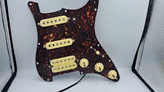 HSS Prewired Pickguard Loaded with Alnico 5 pickups [upl. by Eatnad]