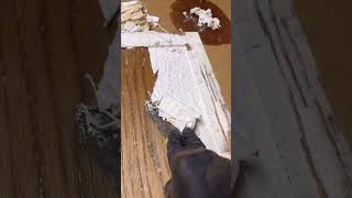 Paint stripping kitchen cabinets kitchencabinetry diykitchenmakeover flippingfurniture [upl. by Anohs]