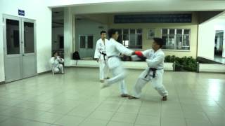 Kumite full contact Shorin Ryu Karate [upl. by Normand]