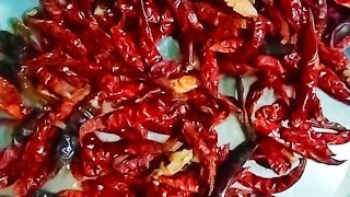 sukhe mirch ka chilli powder kaise banaen [upl. by Nellad]