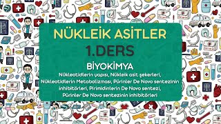 Nükleik Asitler 1Ders  Biyokimya [upl. by Rovaert]