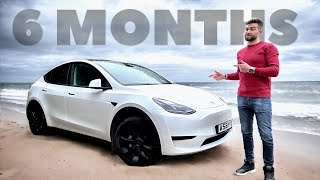 Tesla Model Y Review 6 Months Later  A BIG REGRET [upl. by Gavrielle]