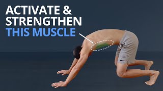 3 Top Exercises to Wake Up SERRATUS ANTERIOR PLUS Anatomy Explained [upl. by Eek210]